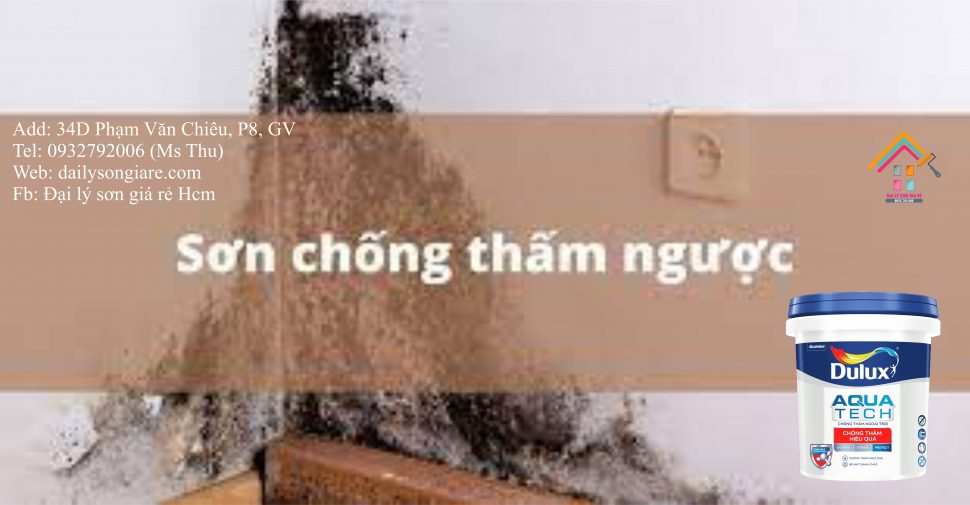 Giải pháp chống thấm ngược hiệu quả