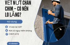 Tường nhà mới xây bị nứt chân chim