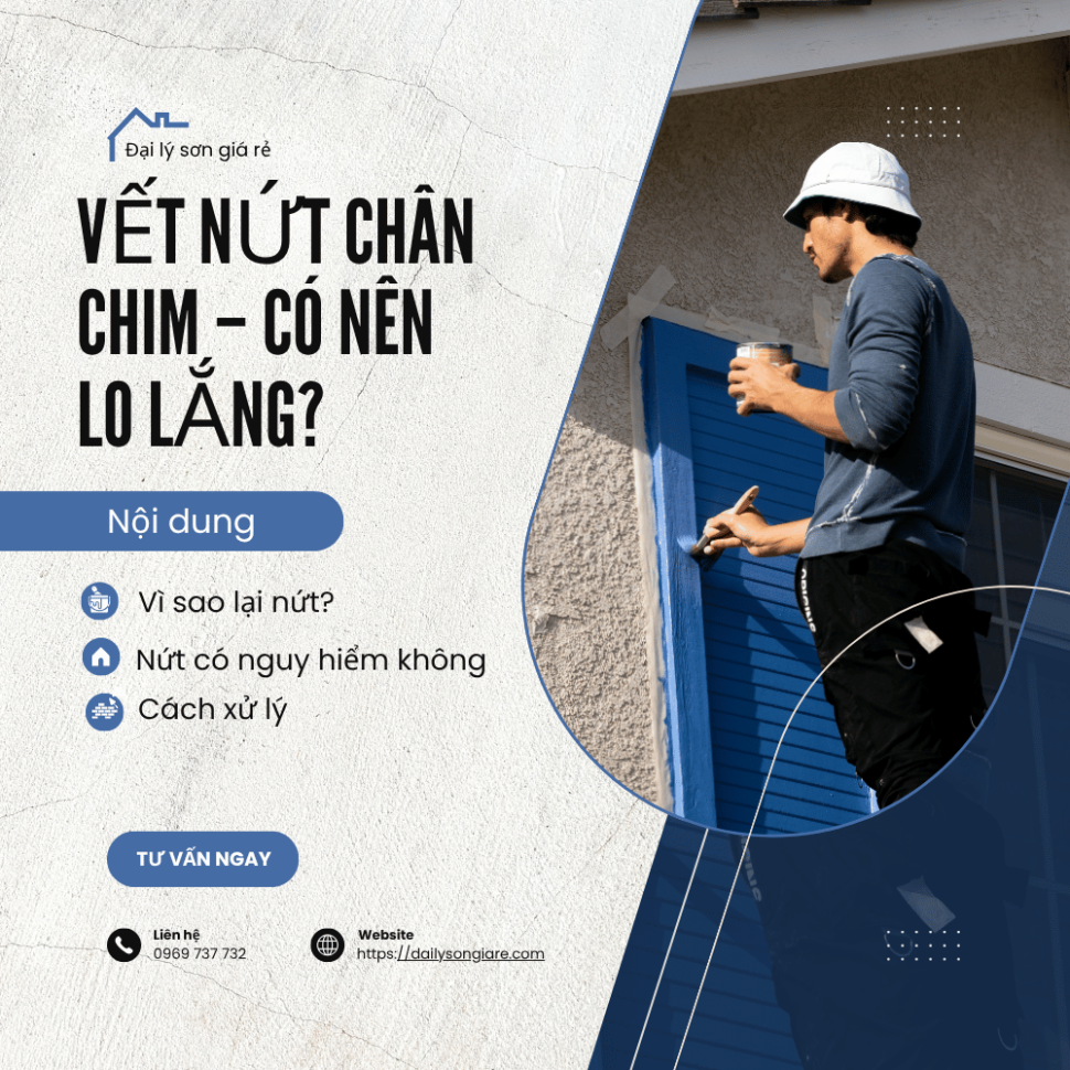 Tường nhà mới xây bị nứt chân chim
